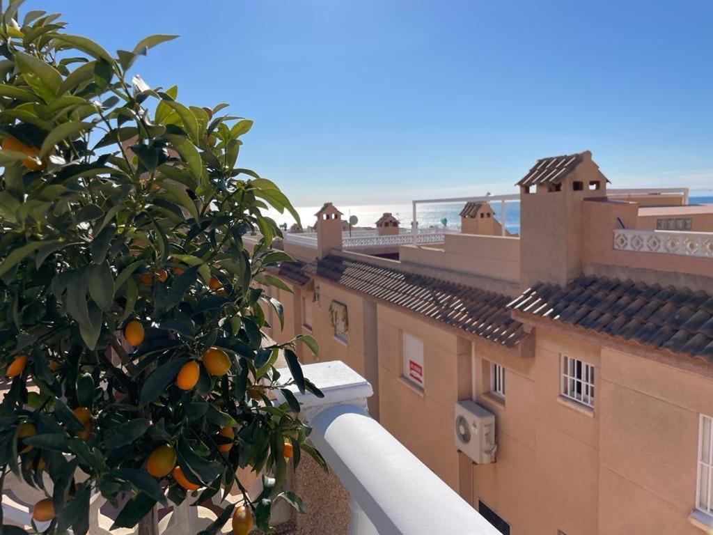 Apartament La Mata טורבייחה מראה חיצוני תמונה