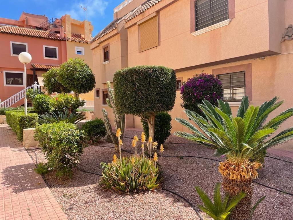 Apartament La Mata טורבייחה מראה חיצוני תמונה